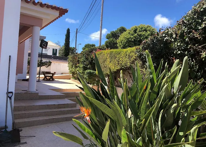 Grace Villa